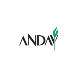 anda